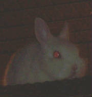 liza2112004.jpg