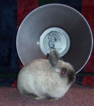 awardpic.jpg
