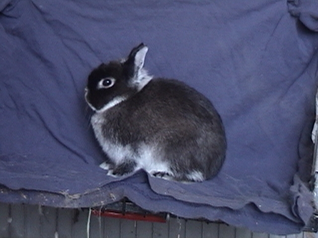 betsysdoe91404.jpg