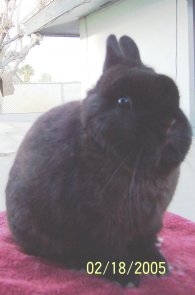 rasco218052.jpg